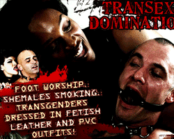 Sadistic Transsexuals Video Gallery